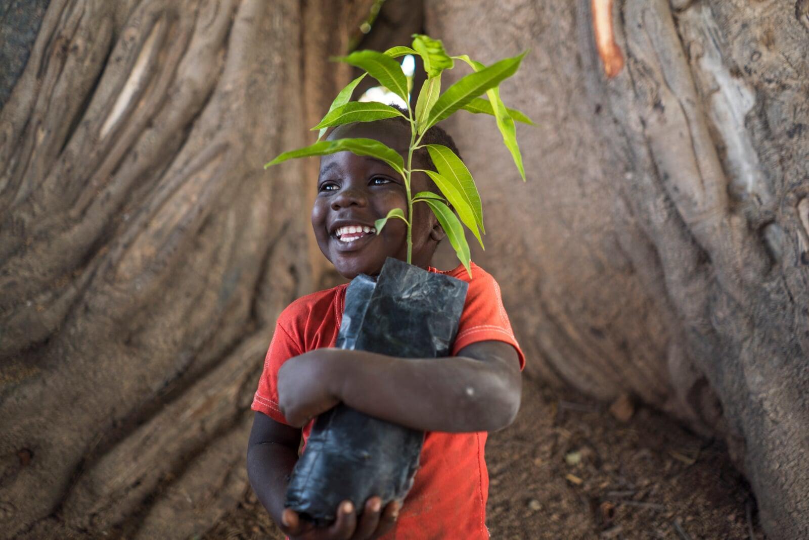Growing Green Hope: The Power of Tree Planting in Lebanon